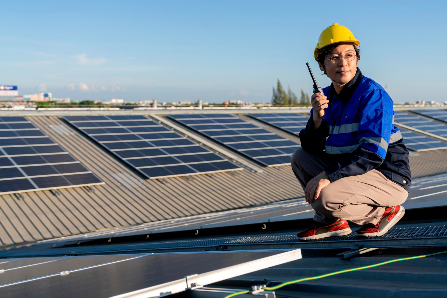 Expert Solar Panel Installation Services